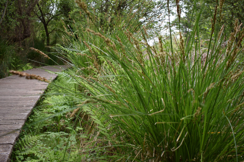 marais-quellen-trebeurden