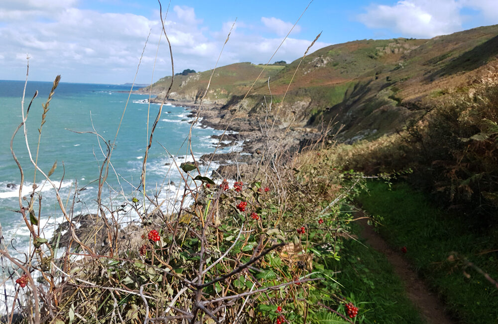 FALAISES DE TRÉDREZ-LOCQUÉMEAU