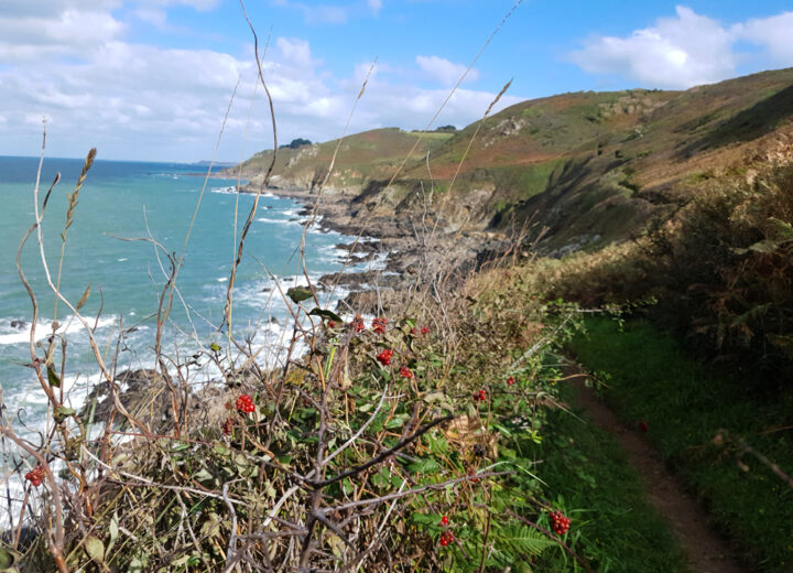 FALAISES DE TRÉDREZ-LOCQUÉMEAU